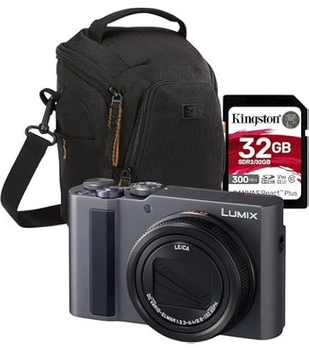 Amazon.com : Panasonic LUMIX ZS300 Compact 4K Digital Camera, 15x