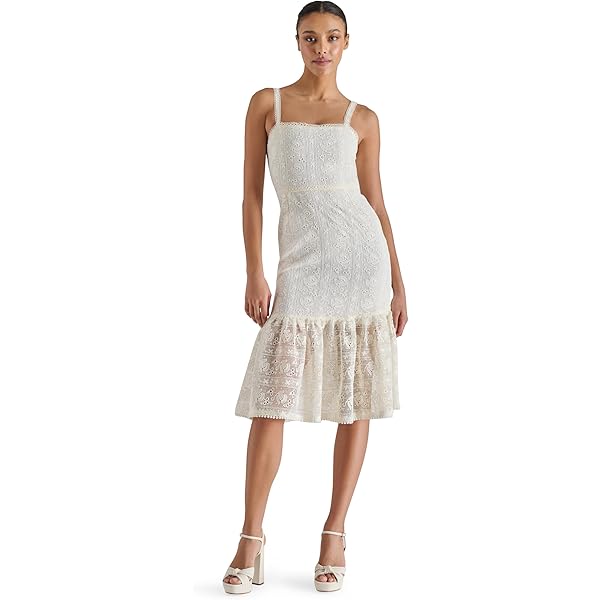 Rebecca Taylor Women's Sleeveless lace Embroidered midi Dress Dress, Snow, 6 at Amazon Women's Clothing store Rebecca Taylor Women's Sleeveless lace Embroidered midi Dress Dress, Snow, 6 at Amazon Women's Clothing store
