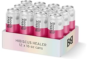 Better Booch Organic Kombucha - Probiotic & Antioxidant Rich Raw Sparkling Tea - Low Sugar, Vegan, Gluten Free - Gut Healing Active Cultures - Hibiscus Healer Flavor, 16 Fl Oz Cans, 12-Pack