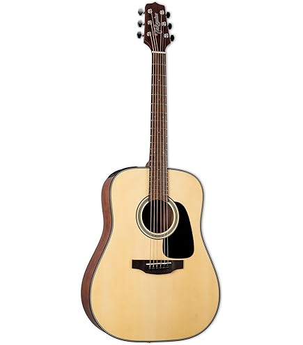キタミ Takamine The 60th Anniversary Limited Edition Guitar | eBay