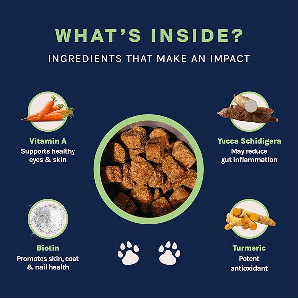 GOOD TROUBLE PETS PROBIOTIC SUPPLEMENT FOR DOGS – CHICKEN FLAVOR, 30 CHEWS – ENHANCED DIGESTIVE SUPPORT