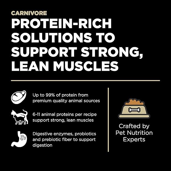 GO! SOLUTIONS CARNIVORE GRAIN FREE DRY CAT FOOD, 16 LB – LAMB + WILD BOAR RECIPE – PROTEIN RICH DRY CAT FOOD – COMPLETE + BALANCED NUTRITION FOR ALL LIFE STAGES