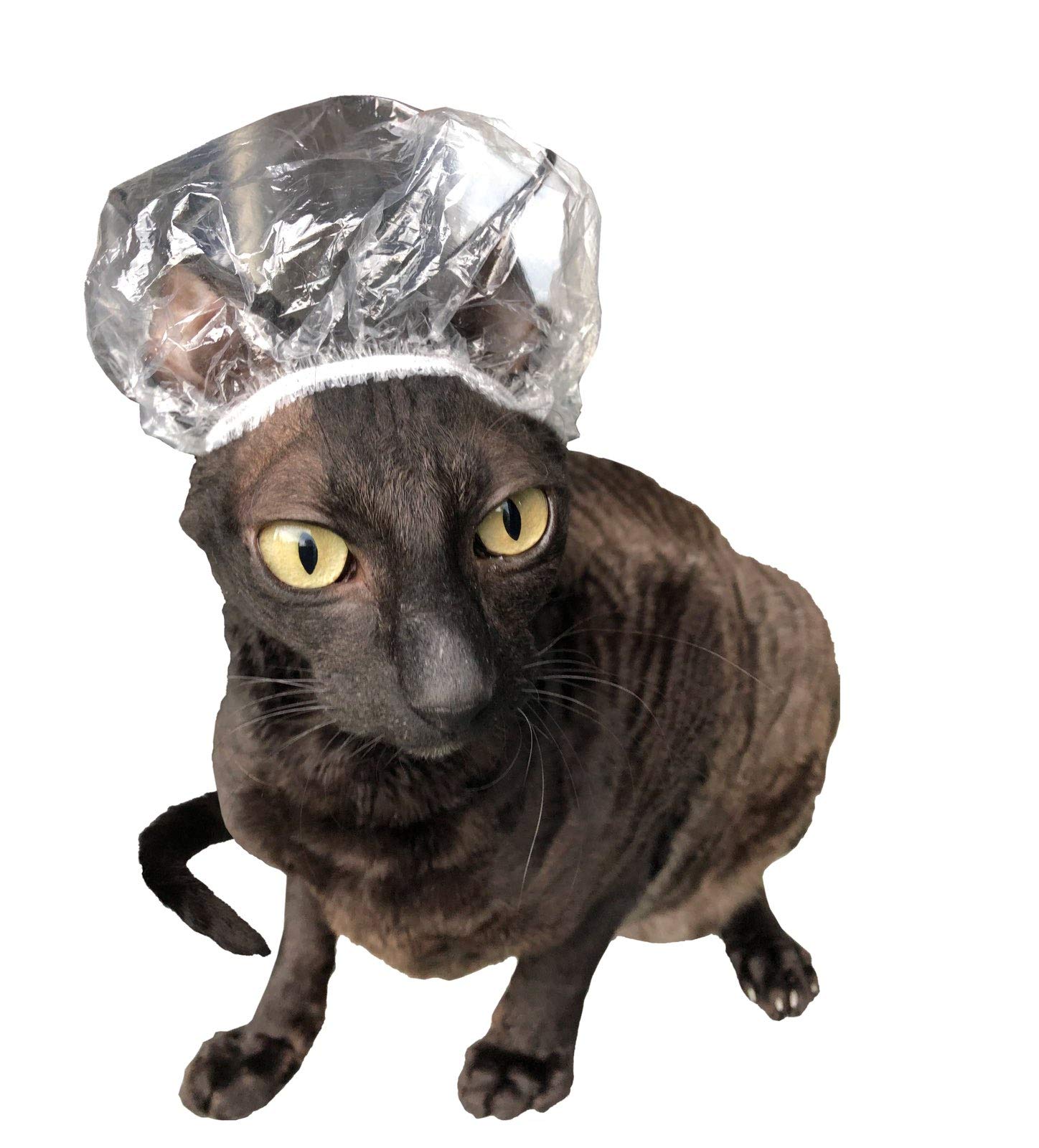 Kotomoda Shower Caps for Sphynx Cats and small pets 20pcs