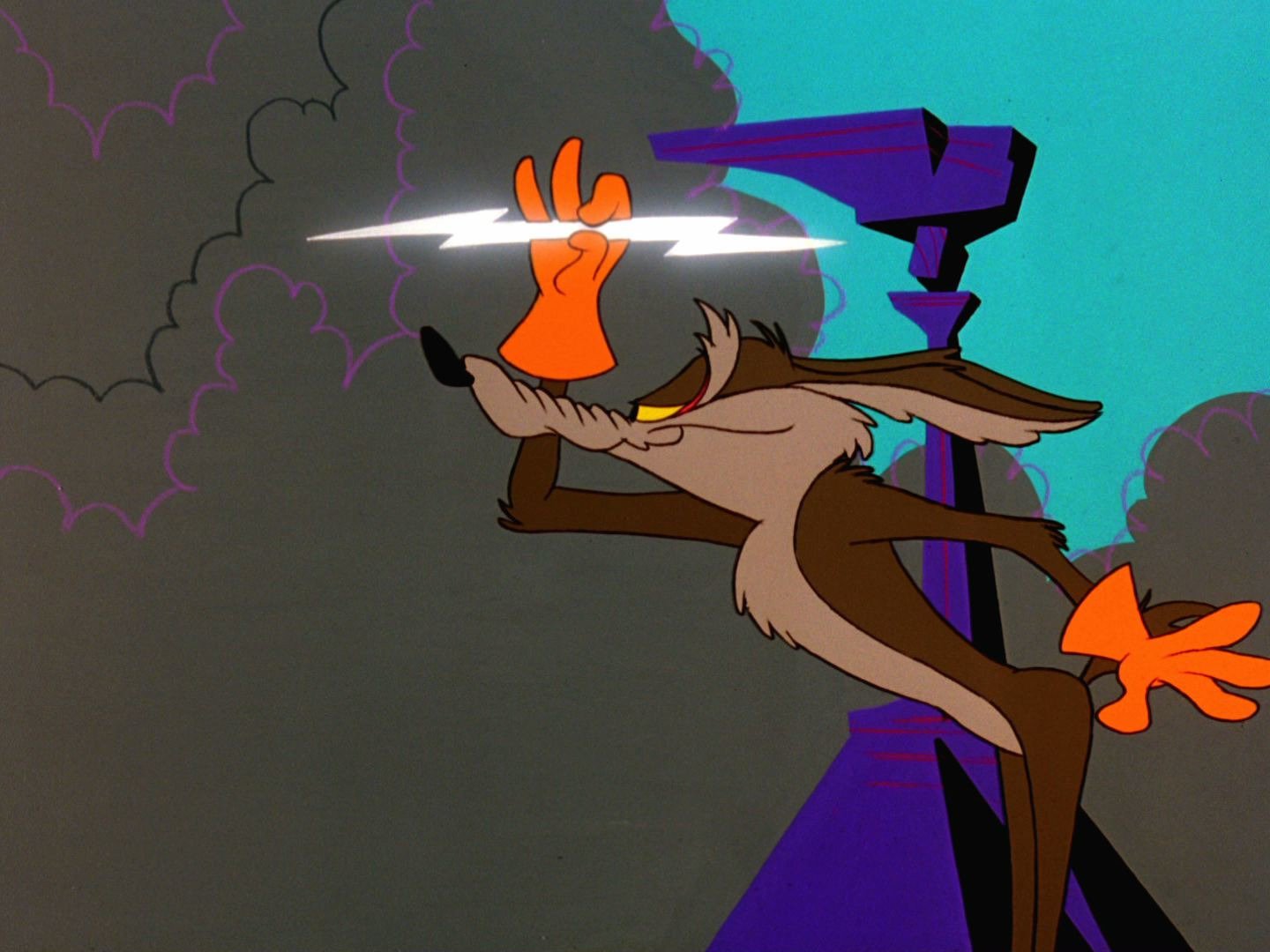 stream road runner cartoons
