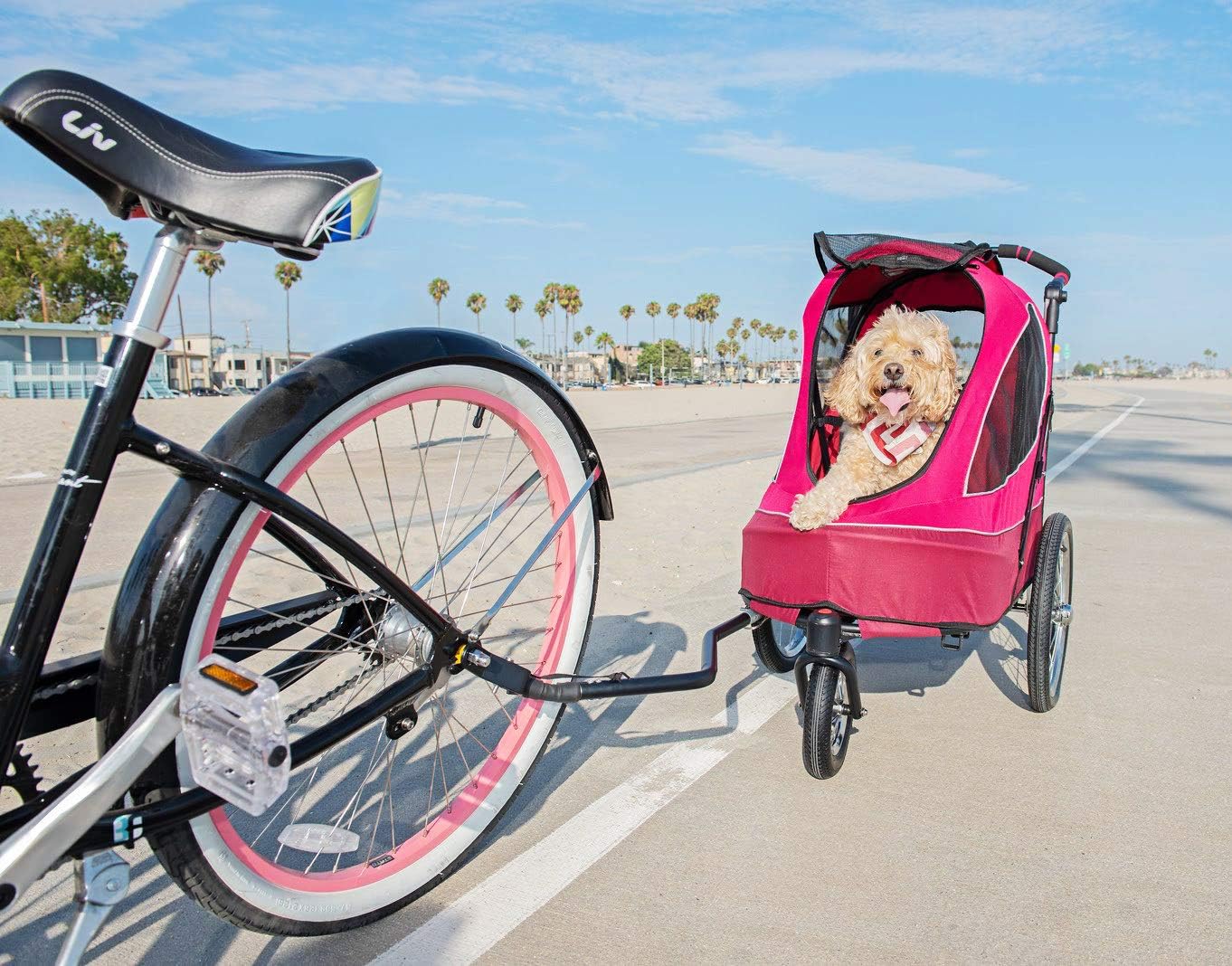 PETIQUE All Terrain Jogger-Blazin' Berry Pet Stroller, Blazin' Berry, One Size (JG01100103) : Pet Supplies