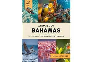 Animals of Bahamas: A Wildlife Picture Book With Fun Facts Including Nassau and Exuma For Kids & Adults
