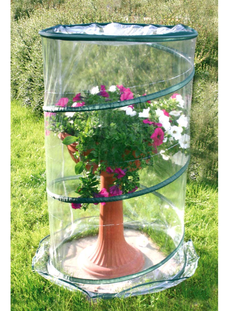 Verdemax 2634 70 x 100 cm Pop-Up Anthurium Greenhouse