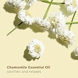 Clarins Relax Body Treatment Oil 100ml - Brand New, Unused view 3