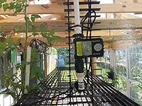 Review Image by EDWARD GRIER EDWARD GRIER