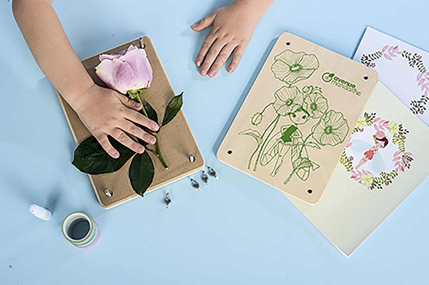 Avenue Mandarine, Ref CO175C, Creative Box, Flower Press and Herbarium, Collect & Keep Beautiful Floral Compositions - Image 5