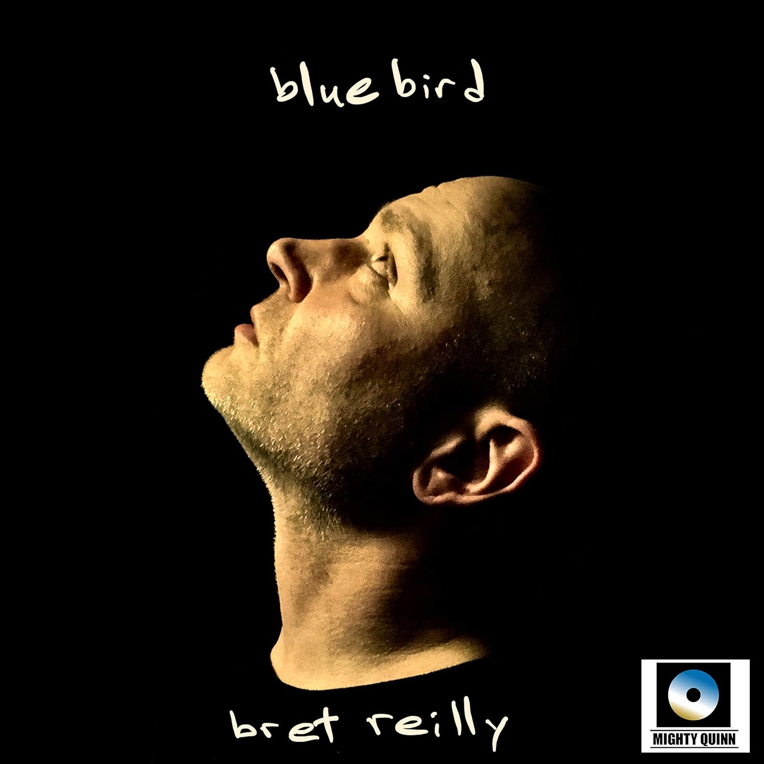 Bluebird [Vinyl LP]: Amazon.de: Musik-CDs & Vinyl