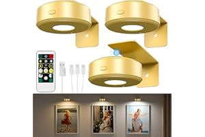 LIGHTBIZ 3PCS Picture Lights, Rechargeable Battery Wall Light for Paintings, 3 Colors Paintings Light Dimmable and Timer Metal Art Light for Display, Wall, Artwork, Gallery (Gold)