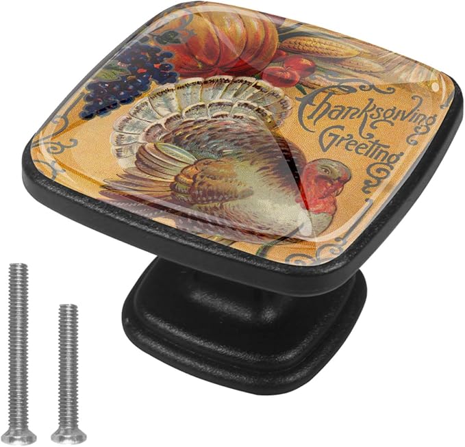 Thanksgiving Greeting with a Turkey Solid Kitchen Knobs Square
