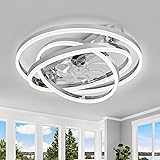 Dawn Whisper Ceiling Fans with Lights, 24" Modern