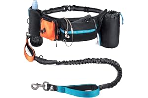 SparklyPets Active Waist Leash for Dog Walking Pack – Hands Free Dog Leash for Medium & Large Breeds – Complete Gear with Phone Holder, Detachable Poop Bag, Treat Pouch, and Bottle Holder