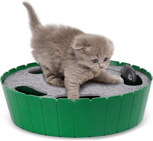 mouse hunt cat toy amazon