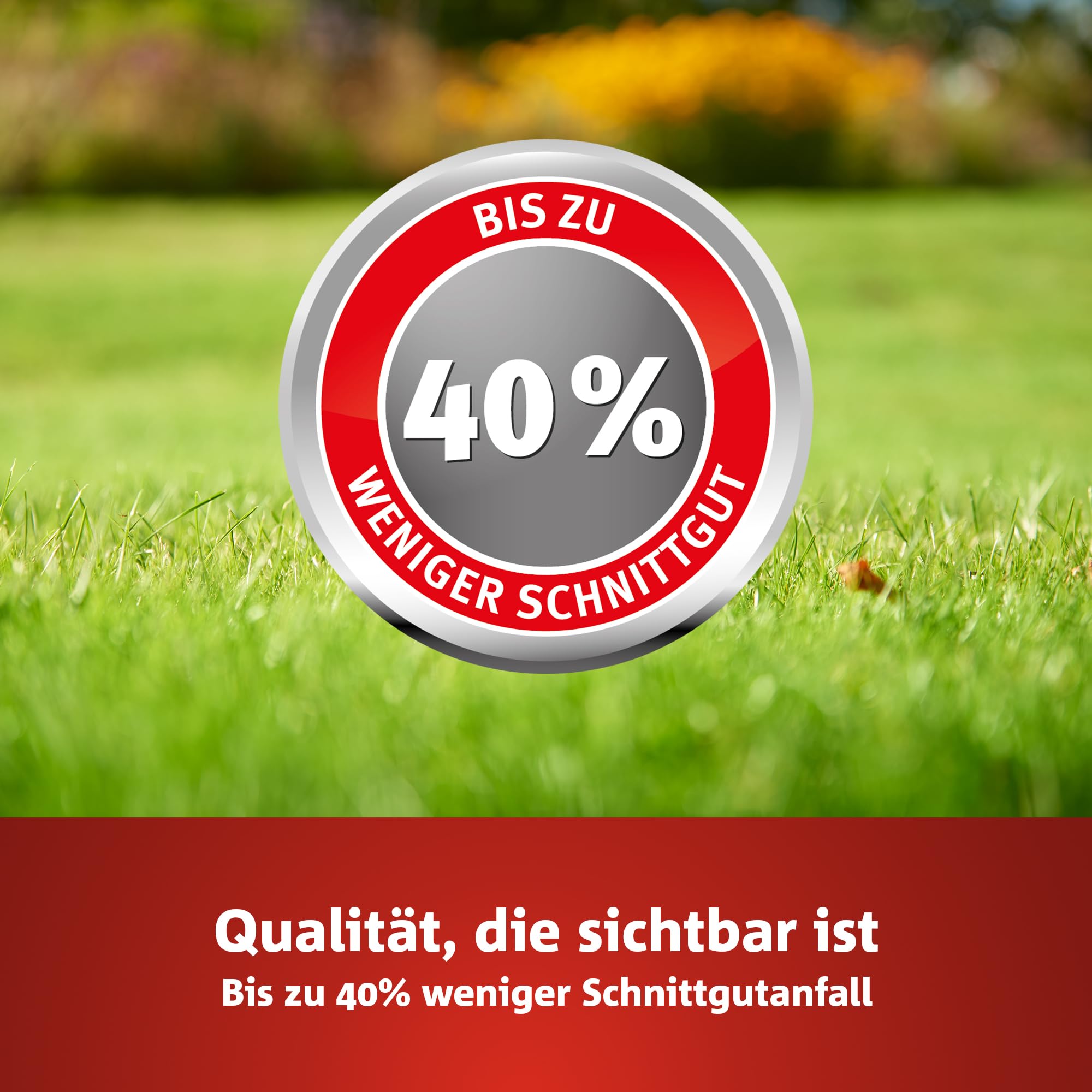 WOLF-Garten Turbo-Nachsaat zur Rasensanierung LR120 (für 120 m2, hohe Dichte mit ca. 70.000 Trieben/m2, für alle Rasentypen geeignet, mit WOLF-Garten Keimgarantie, im 2,4kg Karton) 3826042 6