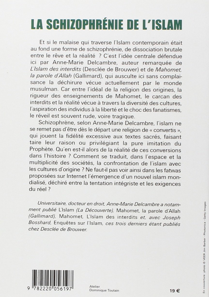 La Schizophrenie De L Islam French Edition Delcambre Docteur Anne Marie 9782220056197 Amazon Com Books