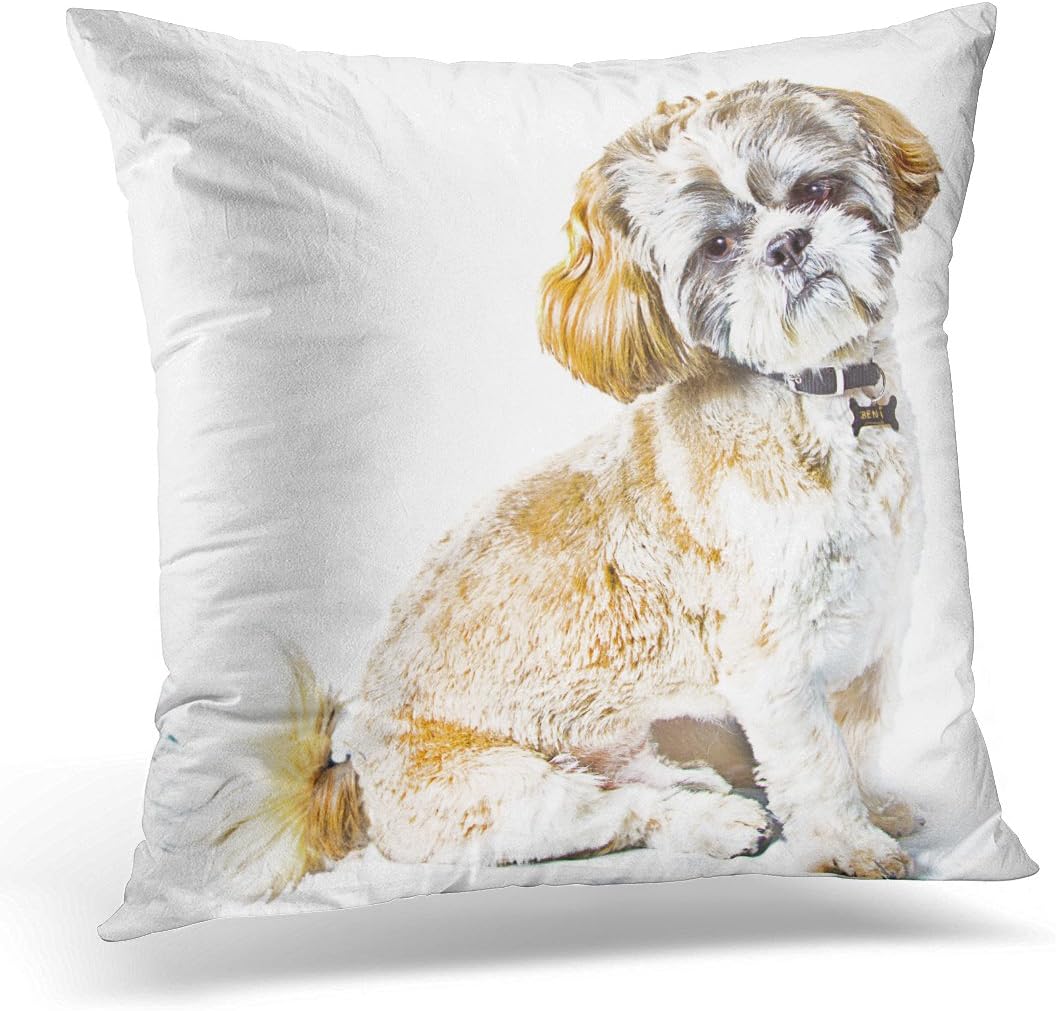 bouvier poodle puppies