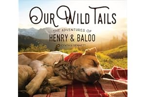Our Wild Tails: The Adventures of Henry & Baloo