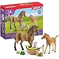 Schleich Horse Club Sarah's Baby Horse Animal Care Figurine Toy Set - Little Farm Animal Care Horse, Foal, and Puppy with Accessories Play Toy Set for Boys and Girls, Gift for Kids Age 5+