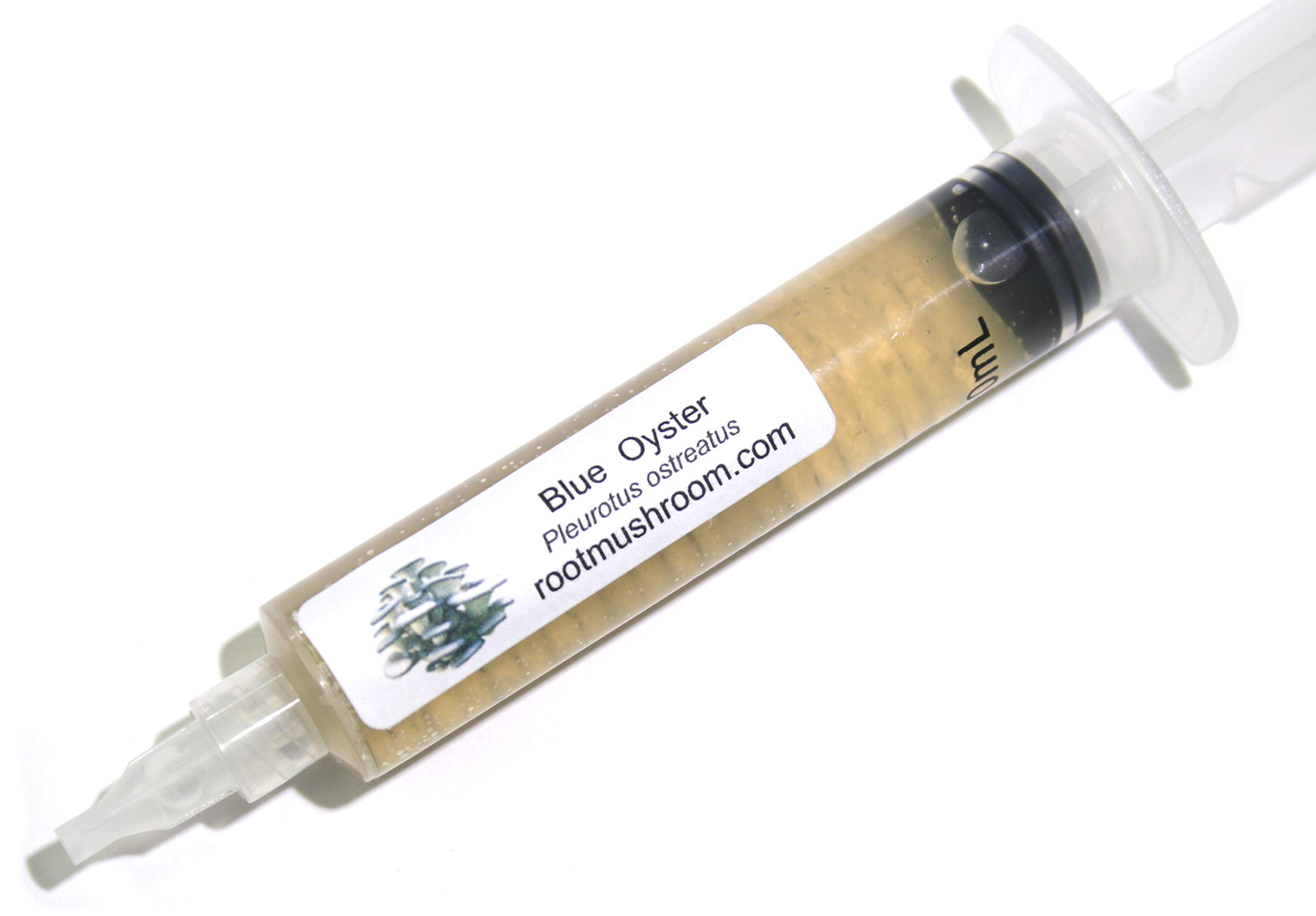 Root Mushroom Farm- Mushroom Liquid Cultures/Blue