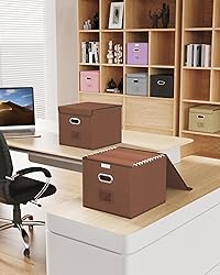Oterri 2 Pack File Organizer Box,File Box,Small