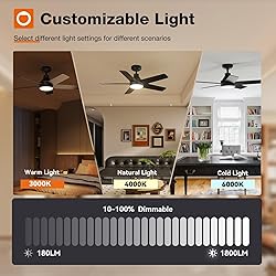 addlon Ceiling Fans with Lights, 42 inch Black