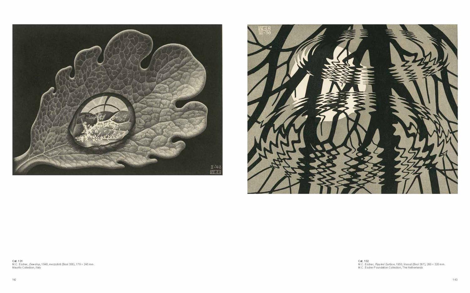 Escher Escher Hardcover