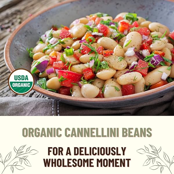 MOUNTAIN HIGH ORGANICS, CERTIFIED ORGANIC CANNELLINI BEANS, 1LB BAG