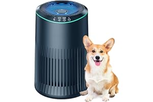 Air Purifiers for home small