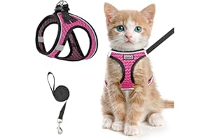 SALFSE Cat Harness and Leash for Walking Escape Proof, Adjustable Kitten Vest Harness Reflective Soft Mesh Puppy Harness for Outdoor, Comfort Fit, Easy to Control (Pink, XXS)