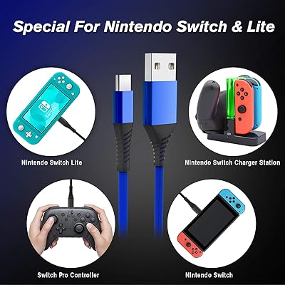 Buy Charger Cable For Nintendo Switch Switch Lite 2 Pack 10ft Nylon Braided 6amlifestyle Usb A To C Fast Charging Cord Type C Charging Cable For Nintendo Switch Switch Lite
