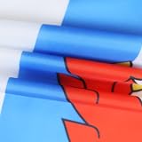AZ FLAG Luxembourg Red Lions Flag 3x5 ft 100D Polyester with Grommets view 3