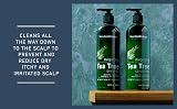 New York Biology Tea Tree Shampoo and Conditioner Set 16.9 fl oz view 5