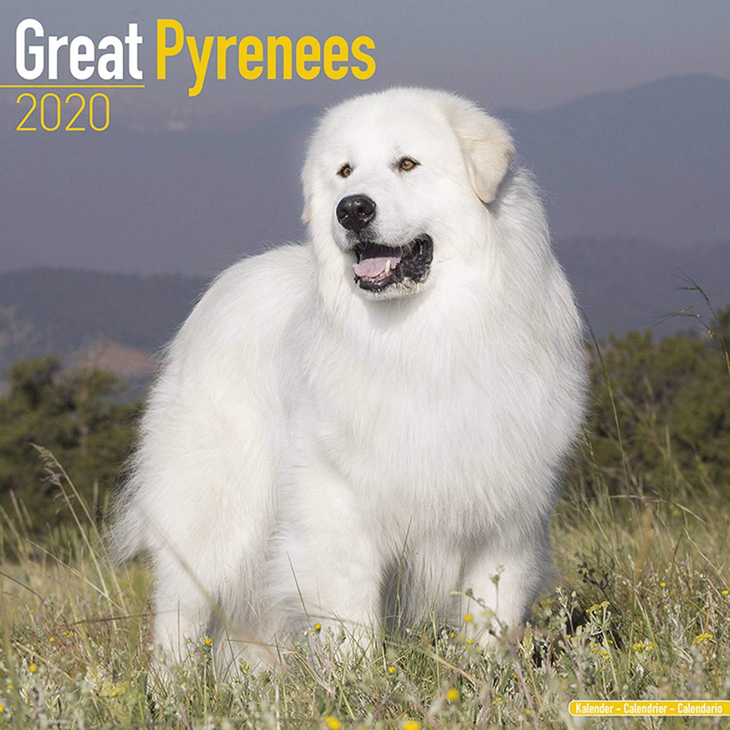 Great Pyrenees Calendar 2020 Dog Breed Calendar Wall Calendar 2019 2020