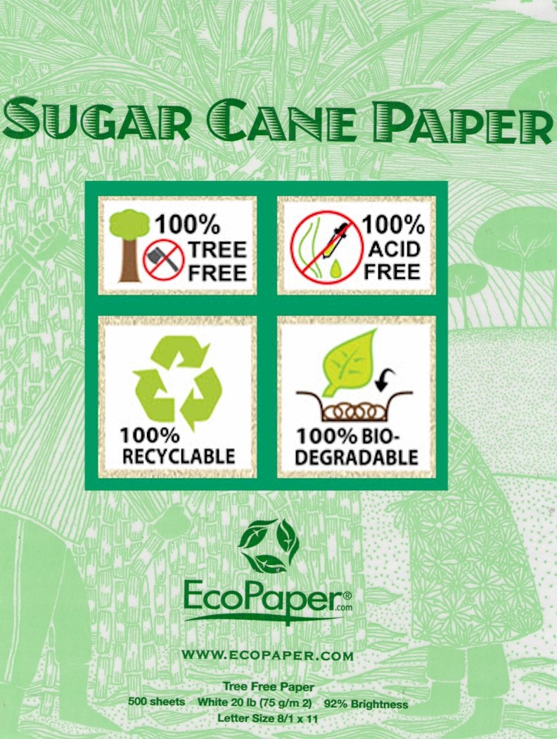 11 Best Recycled Printer Paper & Eco Friendly Printer Paper Bestlyy