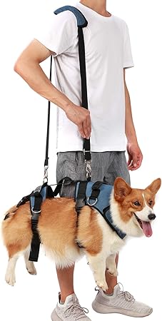 Coodeo Dog Lift Harness Online