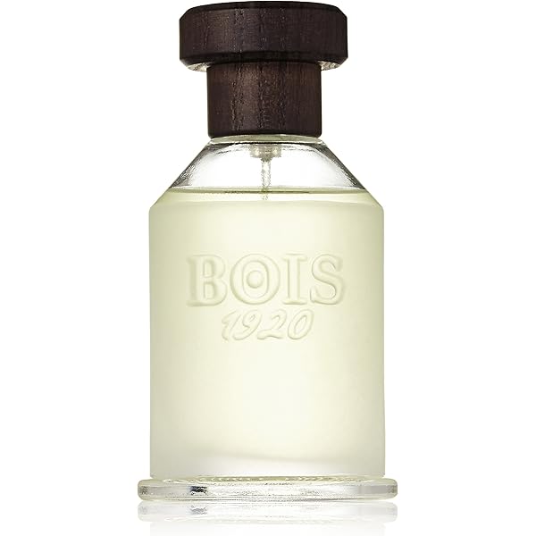 Amazon.com : Bois 1920 Vetiver Ambrato Eau De Toilette Spray