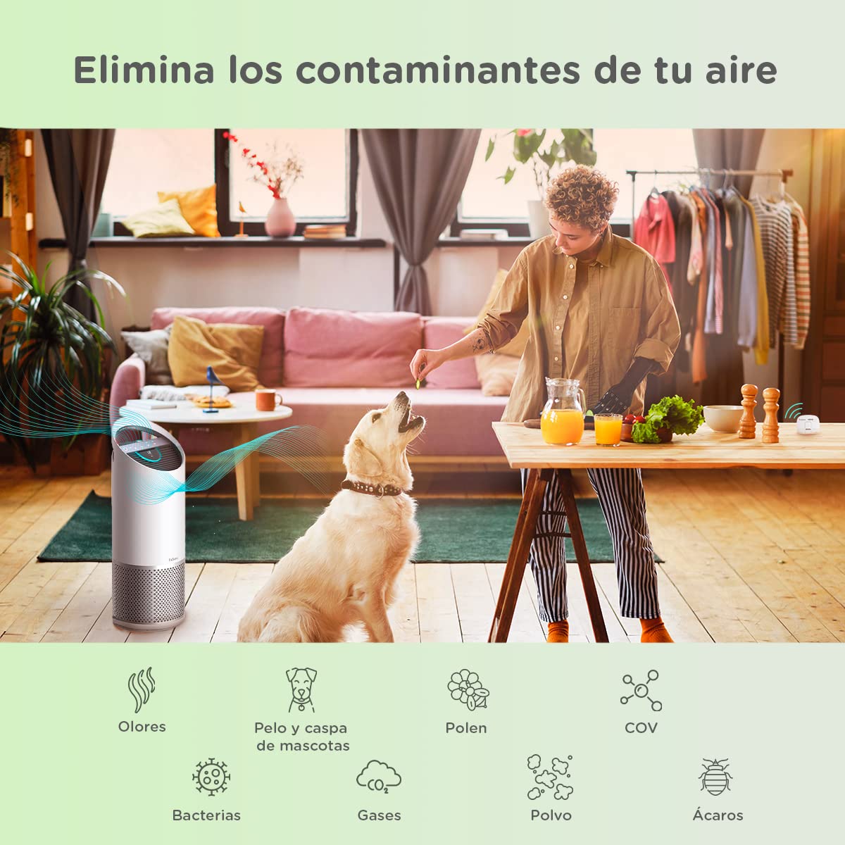 TruSens Air Purifier with UV-C Light + True HEPA Filtration | Large | SensorPod™ Air Quality Monitor | Auto, Sleep, & Turbo Mode | Touch Control | Portable Handle