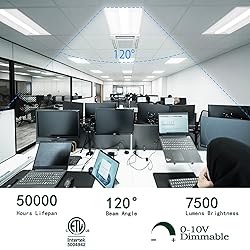 ildfluer 2x4 FT LED Troffer
