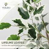 YOLEO 5FT Ficus Tree with White Planter Indoor Silk Realistic Faux Plant view 2