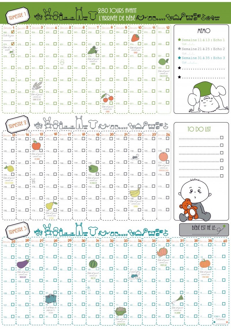 9 Month Calendar Poster Pregnancy Tracker Day After Day