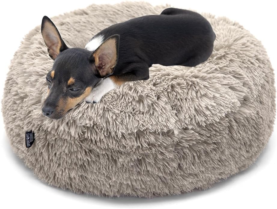 SportPet Designs Luxury Waterproof Pet Bed - Machine Washable Sofa Bed : Pet Supplies