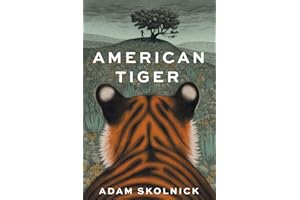 American Tiger