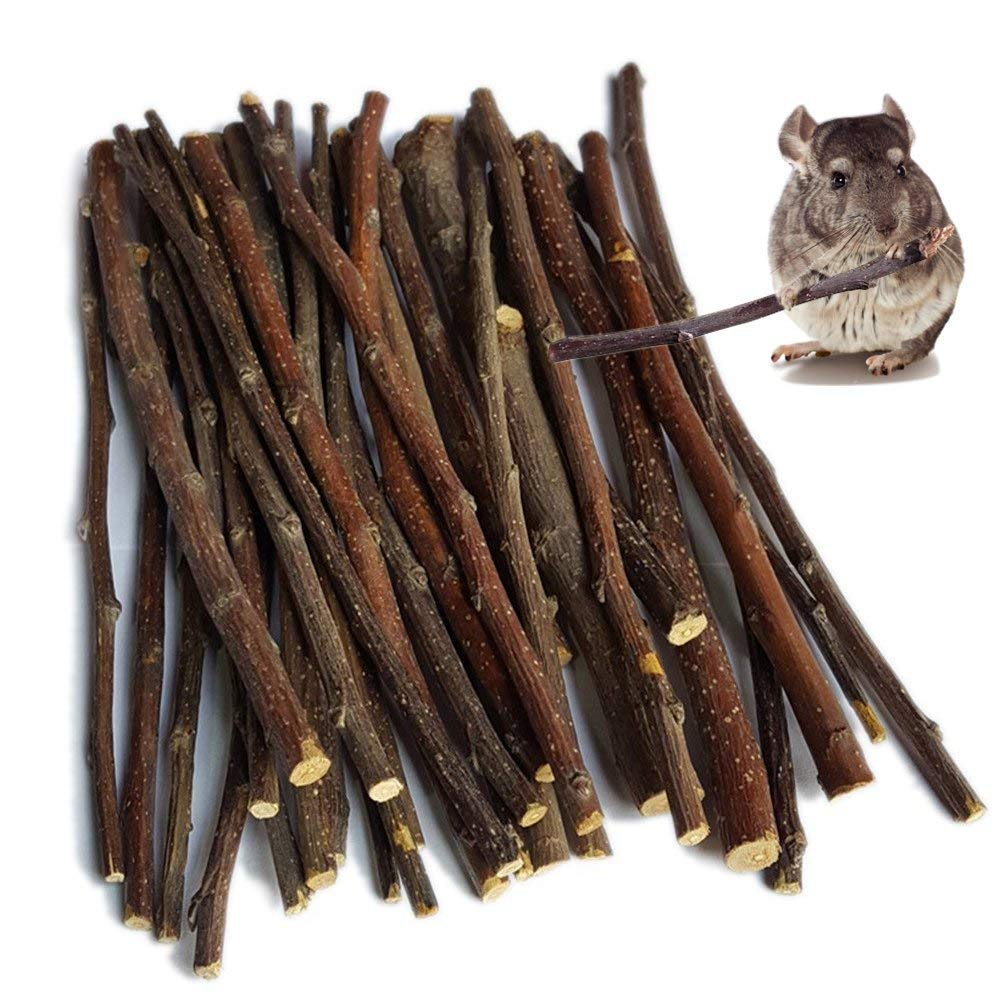 500g Apple Sticks Small Animals Molar Wood Toys for Rabbits Chinchilla Guinea Pigs Parrot Hamster Apple Chew Sticks Toys Treats