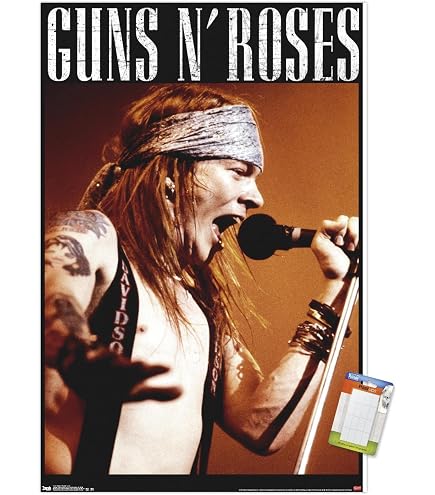Amazon.com: Large Framed Guns 'n Roses Axl Rose/Slash 1989 B/W