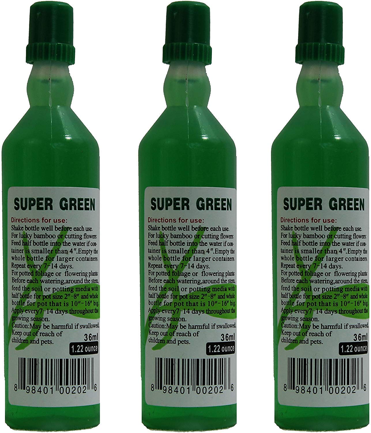 aqua globes dieffenbachia 12 Pack of 4.25