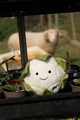 Petface Foodie Faces Cauliflower Plush Dog Toy with Squeaker view 6