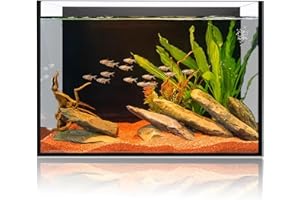 WONDERFACTORY 6 Gallon Glass Fish Tank 5 Gallon, Small Aquarium Fish Bowl Cube for Betta Goldfish Snails Shrimp Aquatic Planting, Easy to Maintain Ultra Clear Rimless Design Low Iron